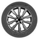 225/55R18 Cooper ProControl 98H BSW SL 2255518 225 55 18