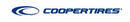 255/35ZR19 Cooper Cobra Instinct 96Y BW XL 2553519 255 35 19