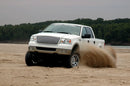 6 Inch Lift Kit - N3 Struts - Ford F-150 4WD (2004-2008)