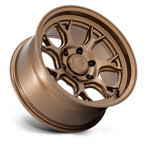 17x8.5 Black Rhino BR017 Etosha Matte Bronze 6x139.7 ET-10 CB106.1 Wheel/Rim