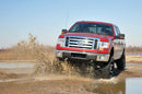 6 Inch Lift Kit - N3 Struts - Ford F-150 4WD (2009-2010)