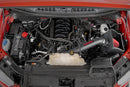 Cold Air Intake Kit - 5.0L - Pre Filter - Ford F-150 2WD/4WD (15-20)