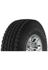 P245/65R17 Firestone Destination A/T 105T OWL  2456517