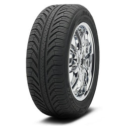 Michelin Pilot Sport A/S Plus Tire(s) 255/45R19 100V SL BSW 2554519 255/45-19 N1