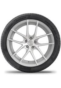 Pirelli P-Zero Rosso Tire(s) 275/45-19 45R19 45R R19 2754519 Porsche